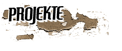Projekte